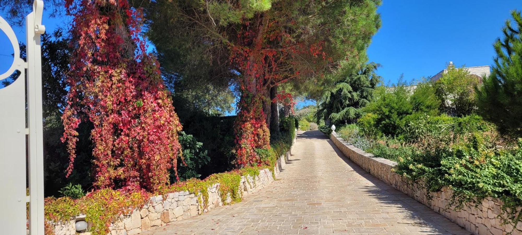 Villa Karmel Valle D'Itria 奇斯泰尼诺 外观 照片